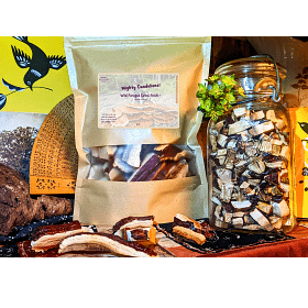 image of dried reishi