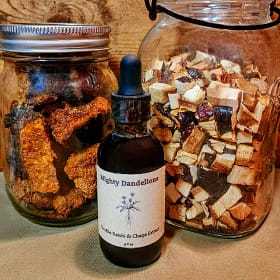 image of reishi & chaga extract